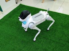 -中国移动通信集团上海有限公司