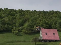 -关山草原