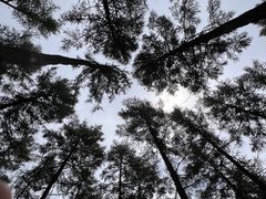 -塞罕坝国家级自然保护区