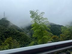-藏龙百瀑风景区