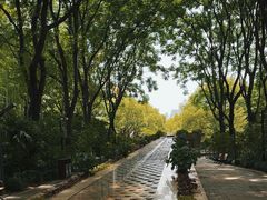 -苏州河梦清园环保主题公园