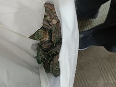 -众彩物流水产市场