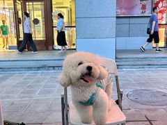 -开元商城(西旺店)