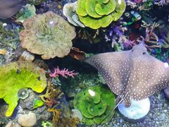 -成都浩海立方海洋公园