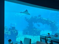 -涛·海底餐厅·美人鱼·自助餐·海底隧道(三亚海棠湾洲际度假酒店)