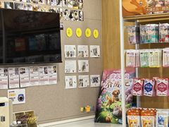 -艾贝尔宠物医院·24H转诊中心·肿瘤猫专科(江宁双龙店)