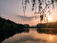 -西湖文化广场