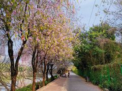 -南丰汇(新港东路店)