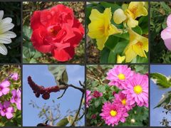 -白塘生态植物园