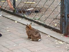 -长白岛森林公园