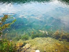 -泸沽湖里格半岛