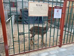 -有喜胶东小馆(太申祥和店)