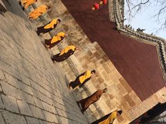 -四门塔风景区
