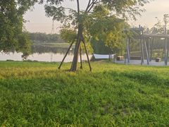 -上海滨江森林公园