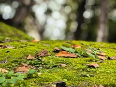 -苏州河梦清园环保主题公园