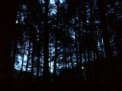 -山王坪喀斯特国家生态公园