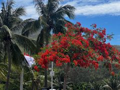 -三亚南山文化旅游区