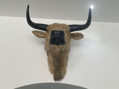 -黄牛肉馆·皖南土菜