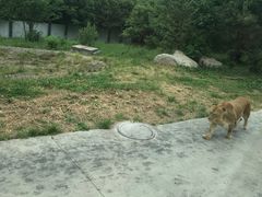 -西安秦岭野生动物园