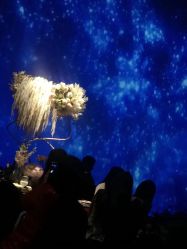 -格乐利雅婚礼艺术中心(南外滩店)