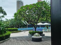 -蛇口希尔顿南海酒店·随轩中餐厅·粤菜