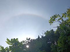 -青峰峡国家森林公园