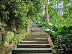 -火炉山森林公园