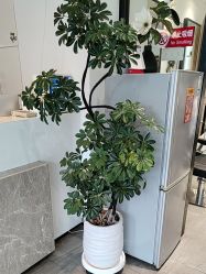 -LJOY丽锦造型·烫发染发