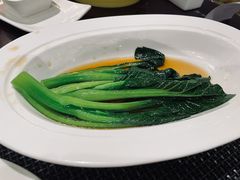 -博悦茶餐厅(文殊院店)