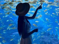 -海合安成都极地海洋公园