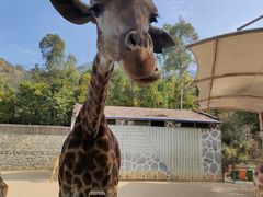 -泉州海丝野生动物世界