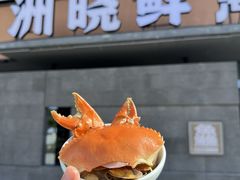 -洲晓鲜·舟山海鲜大排档(朱家尖风景区店)