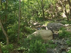 -云岫谷游猎自然风景区