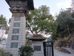 -严子陵钓台(富春江小三峡)