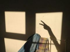 -福晶园益生菌蛋糕面包(璞丽中心店)