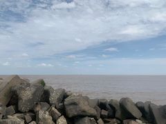 -南汇嘴观海公园
