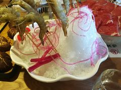 -尚海豆捞(乐虹坊店)