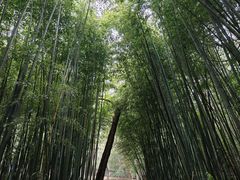 -四门塔风景区