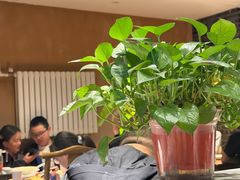 -河沿肉饼Beijing Pie(东华门店)