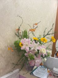 -韩辰医疗美容医院