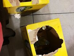 -古蔺郑胖娃(泸州总店)
