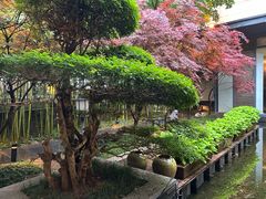 -湖滨客舍·湖北菜