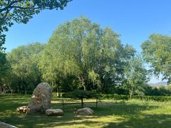 -辽宁对外经贸学院