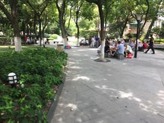 -常州古运河南大街文化旅游区-人民公园