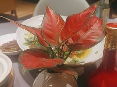 -天府掌柜(九眼桥店)