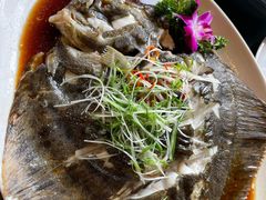 清蒸多宝鱼-利顺德大饭店·水岸中餐厅(小白楼店)