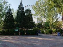 -青城公园