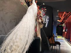 -滇野云南野生菌餐厅(陕西南路店)