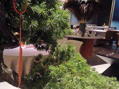 -徐记海鲜(曲江南湖店)