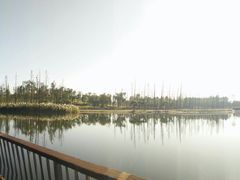 -白鹭湾湿地公园